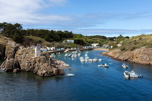 Small_boat_marina_in_the_Vendee